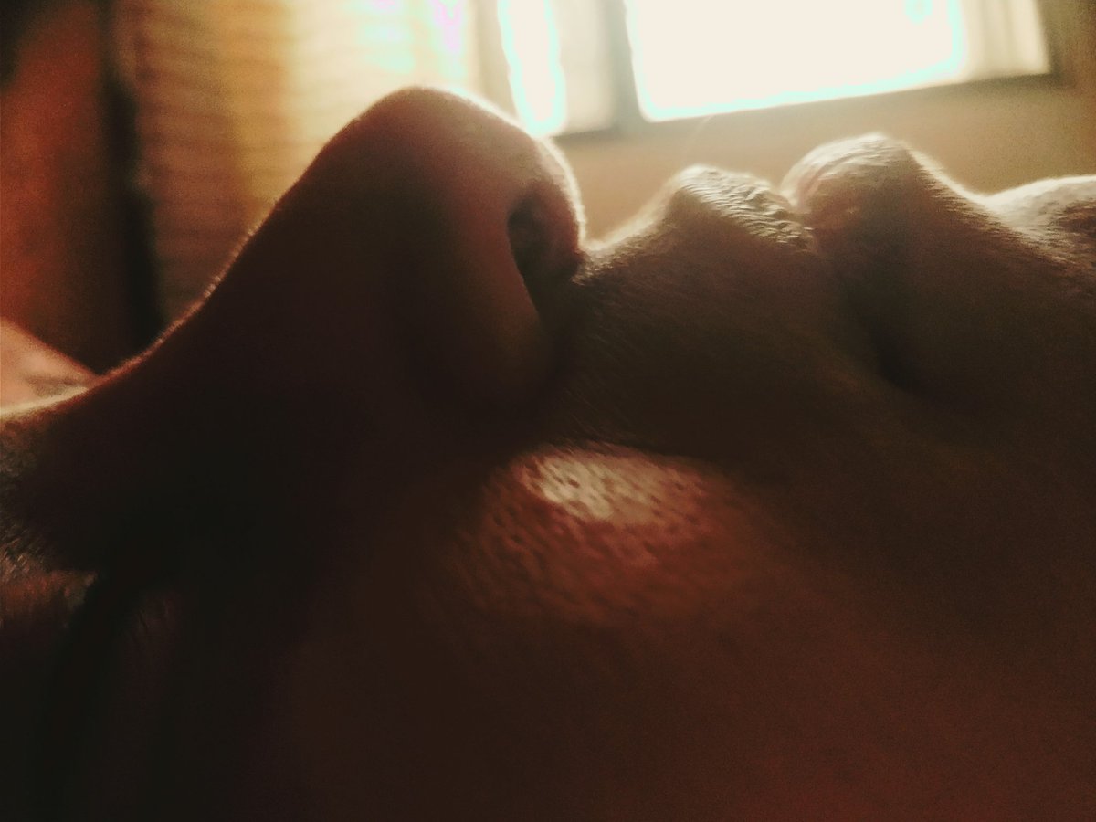 sthshprem's tweet photo. Lovely lips https://t.co/Xe3gvU9QKR