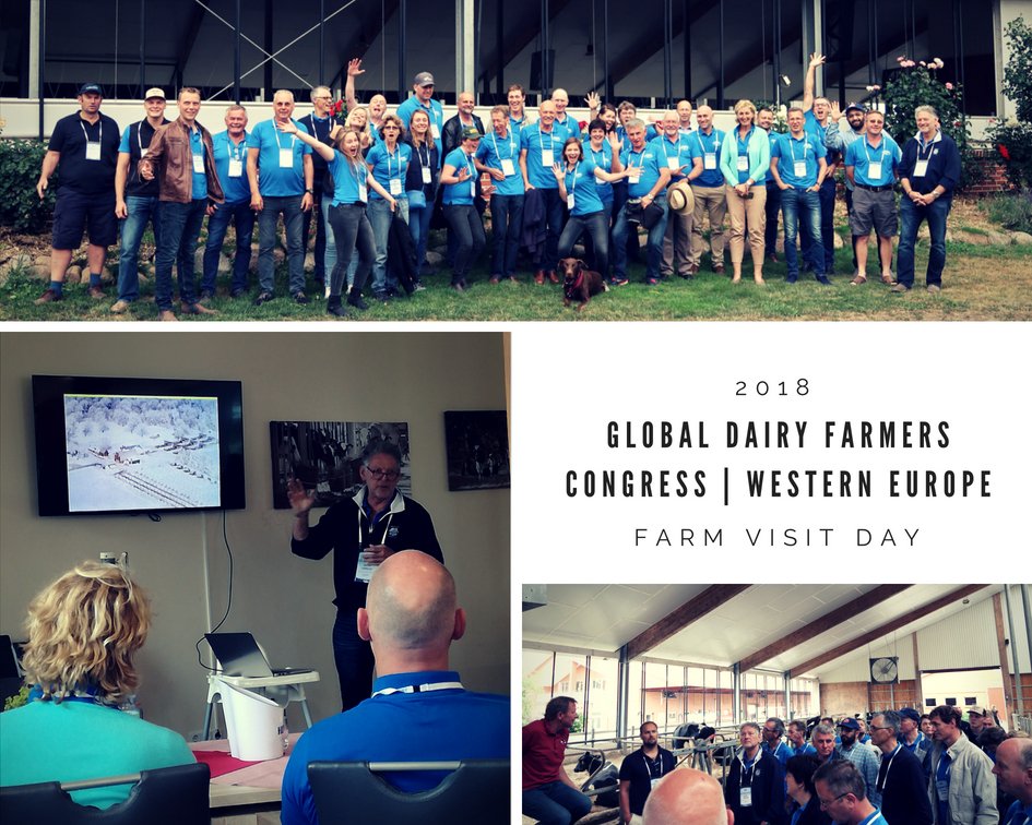 GDFnetwork's tweet image. EVENT | Great presentations from farmers of Australia, Estonia, U.S.A. &amp;amp; New Zealand on the dairy developments in their country, And the inspring dairy farm Hof BunkeMühle. Thank you fam. Derboven for having this beautiful dairy farm. #GDFcongress #ConsumerFocused #BestPractise