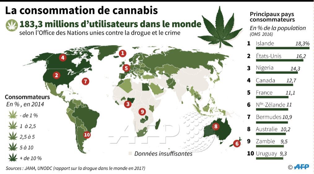 La consommation de Cannabis dans le monde : 183,3 millions de consommateurs de cannabis dans le monde selon l'Office des Nations unies contre la drogue et le crime by @AFP #cannabis