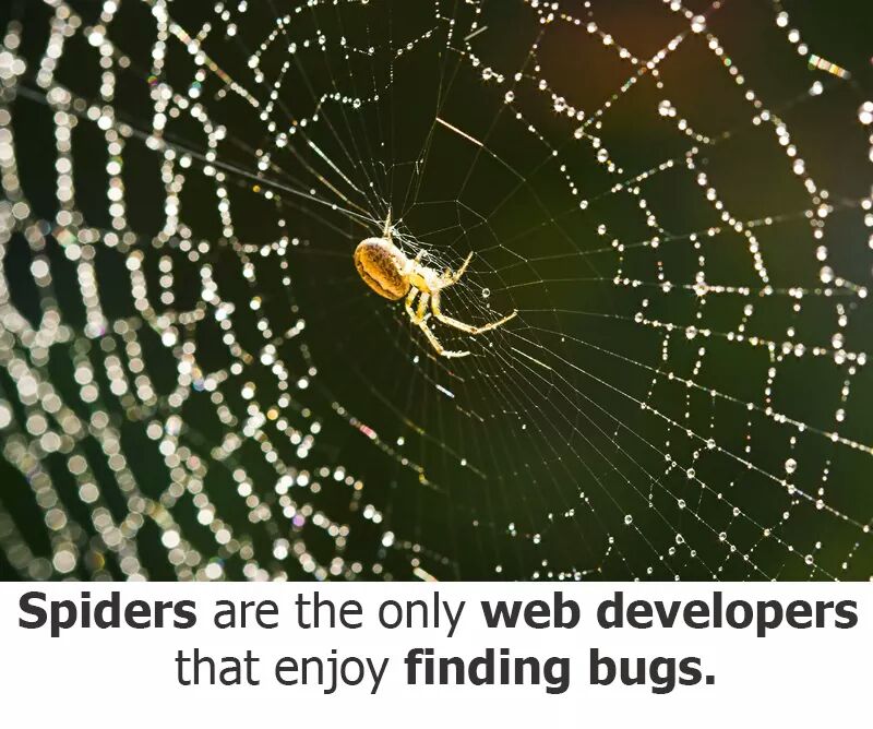 _300volt's tweet image. #webdevelopment 
#Web_developers