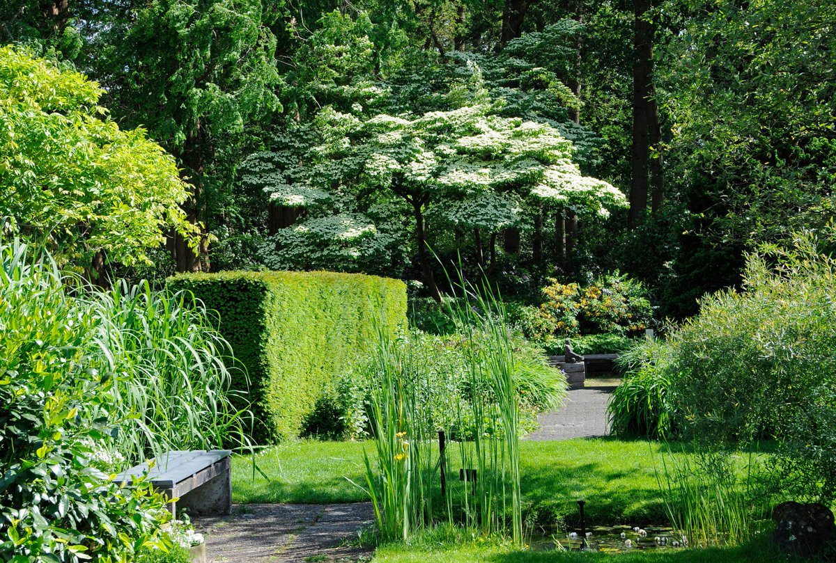 Morgen 21 juni in de #TuinenMienRuys : Midzomeravond van 18.30 tot 21.30 uur. Voor aanmelding: tuinenmienruys.nl/nl/515/21-juni…