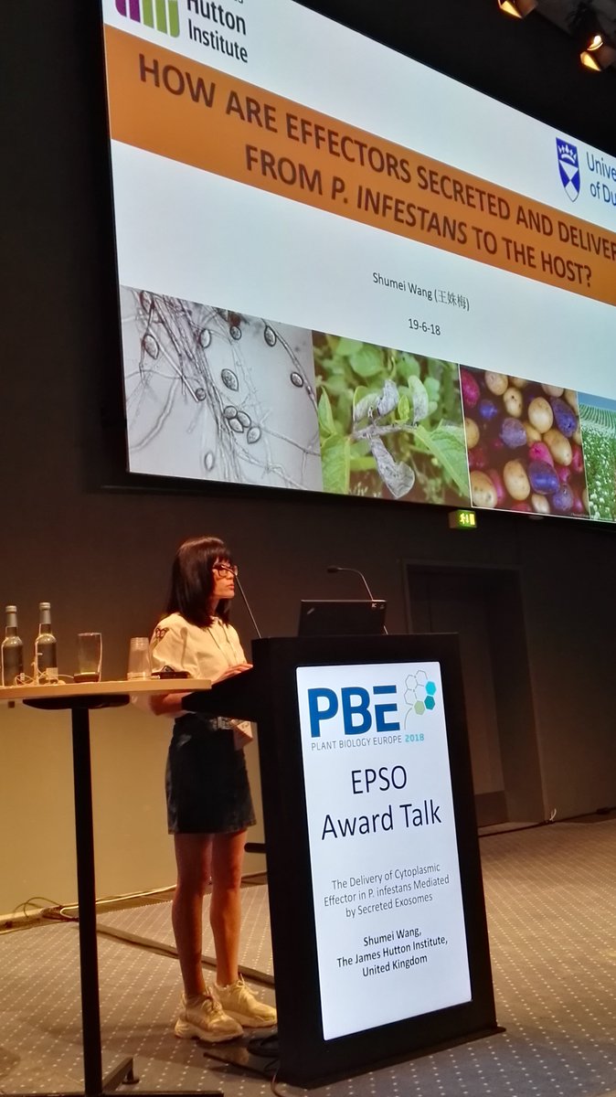 EPSOEurope's tweet photo. Shumei Wang @UoDLifeSciences &amp; @JamesHuttonInst received the EPSO Young Plant Scientist Award (YPSA) https://t.co/j5XlZjocSW for fundamental #plant research #PBE2018 #plantsci https://t.co/Xi0VIllPfq