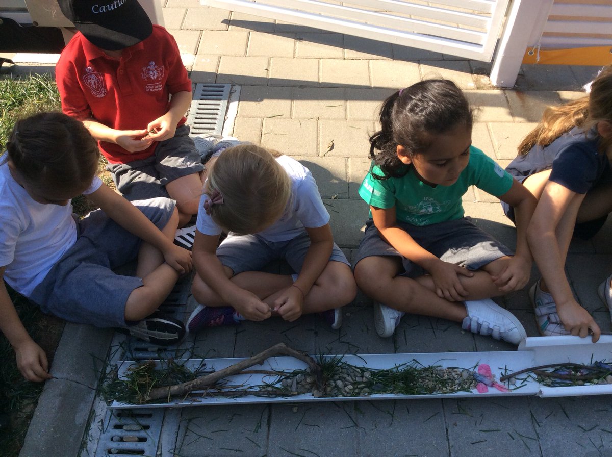 BSB_KS1's tweet photo. 1E have made a green corridor to enable a baby frog from the Rewikding Zone access to the Science Garden, without walking on human features. @BSB_KS1 @britishschoolro @savethefrogs #Thinkinghats https://t.co/2xAMWTyX6o