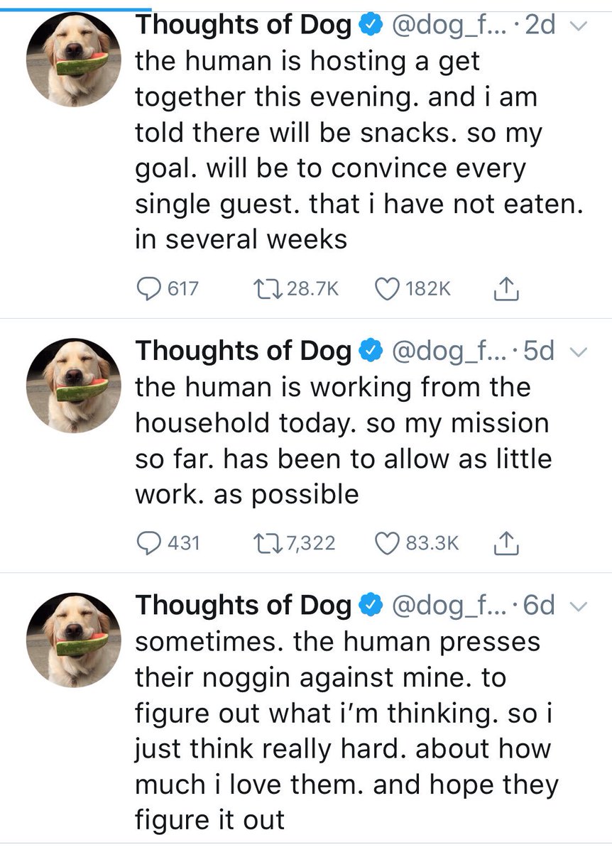 LloydMathias's tweet photo. For all ur dog lovers this is a handle you just must follow! @dog_feelings https://t.co/LtCwTu7CIE