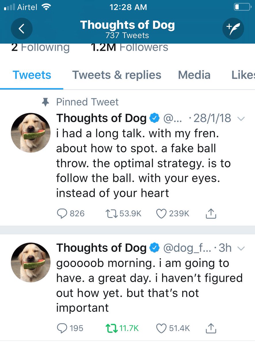 LloydMathias's tweet photo. For all ur dog lovers this is a handle you just must follow! @dog_feelings https://t.co/LtCwTu7CIE