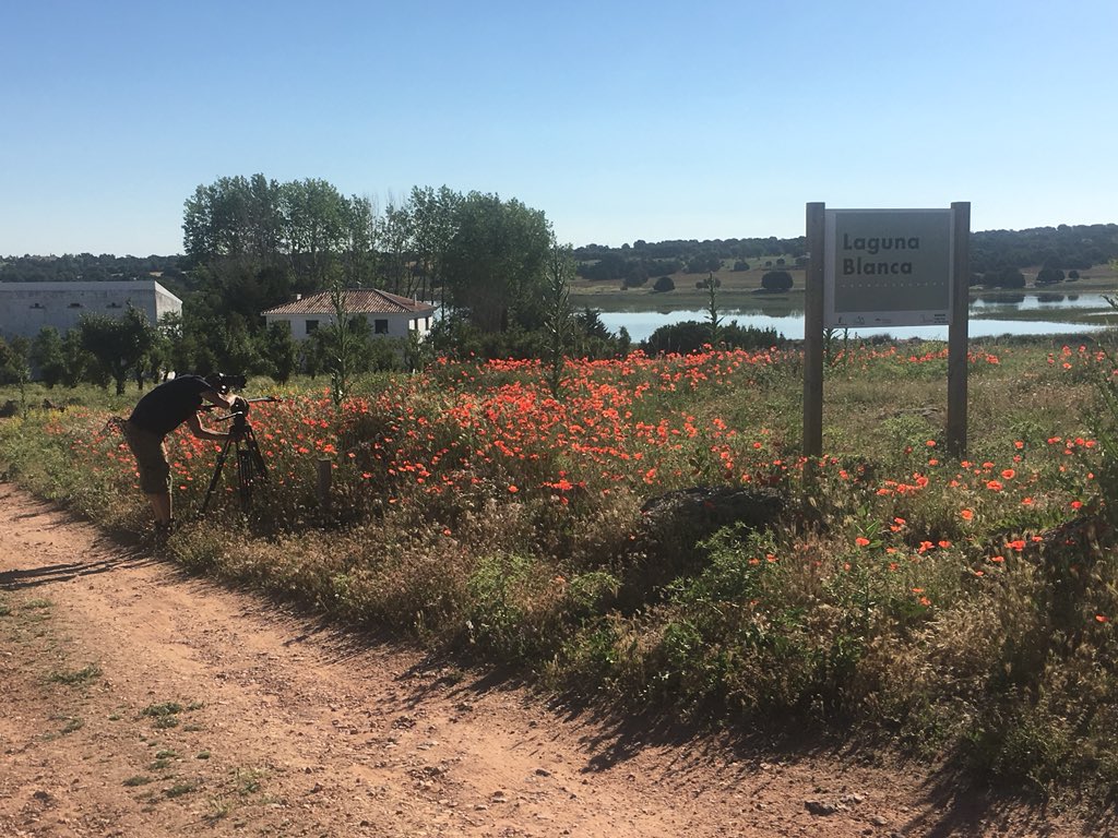 El Pueblo Más Bonito de Castilla-La Mancha - CMM tweet media