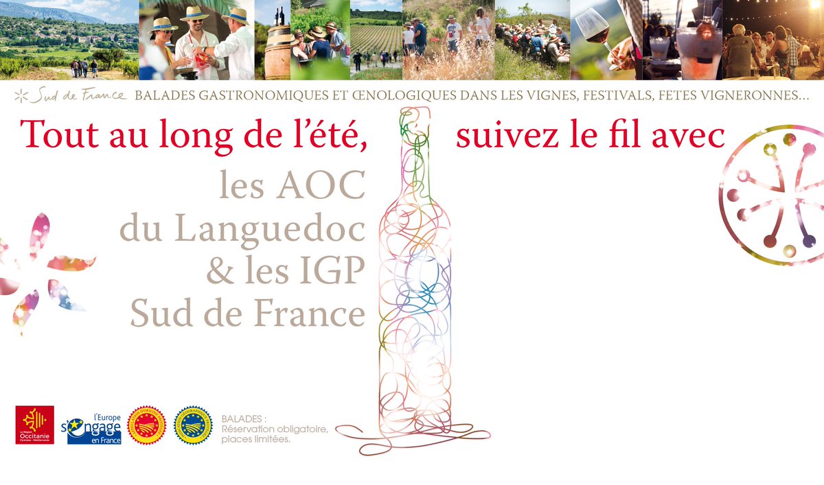 Vins du Languedoc tweet media