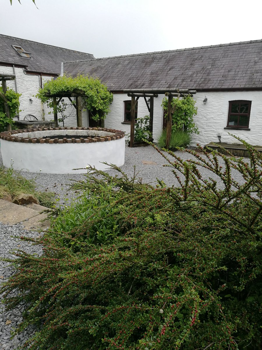 Day 2 of my press trip with <a href="/FoodDrinkWales/">Food and Drink Wales</a> is just kicking off and we are on our way to The Pembrokeshire Early Farm to harvest some potatoes. It was a gorgeous and all to brief stay at <a href="/Jabajak/">Jabajak Vines & Dine</a> and here are a few pics from day 1 #fooddrinkwales