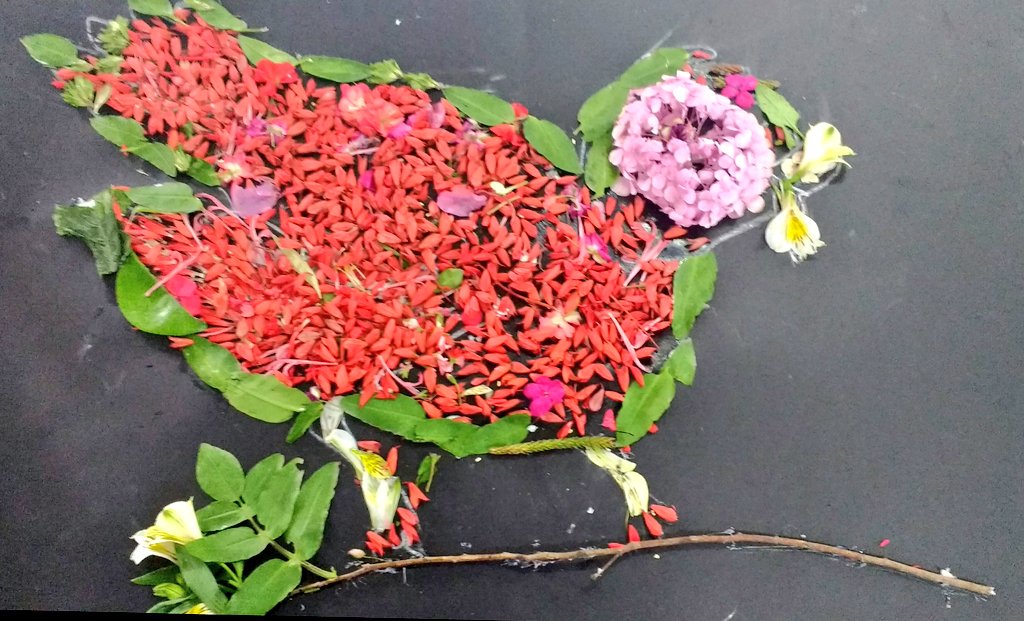 TBS Science tweet media