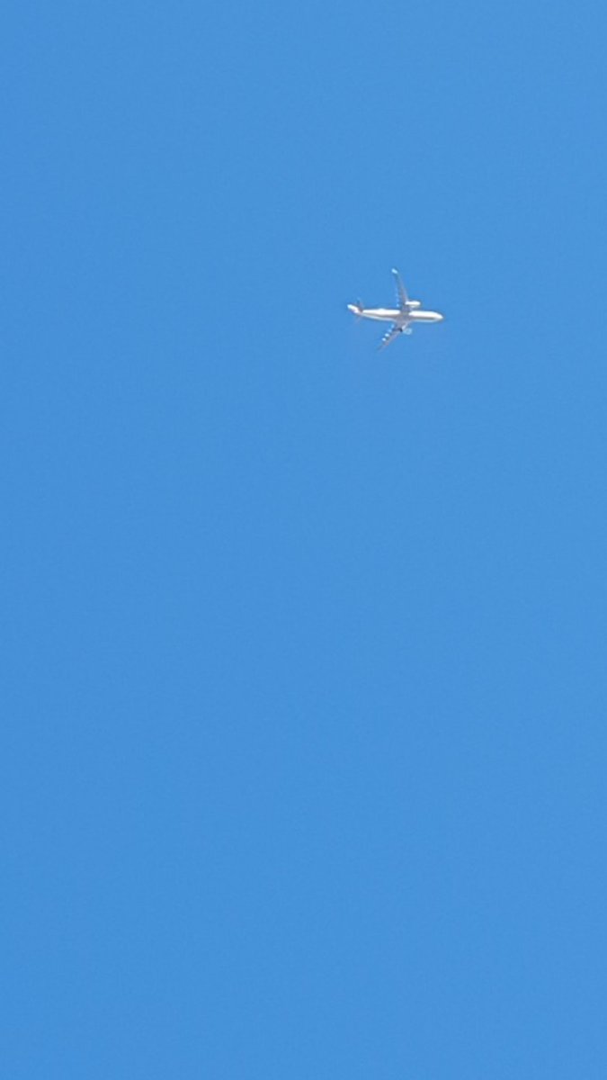 내게도 이렇게 파란 하늘이 있었다
(호주 시드니 하늘 실사임~)