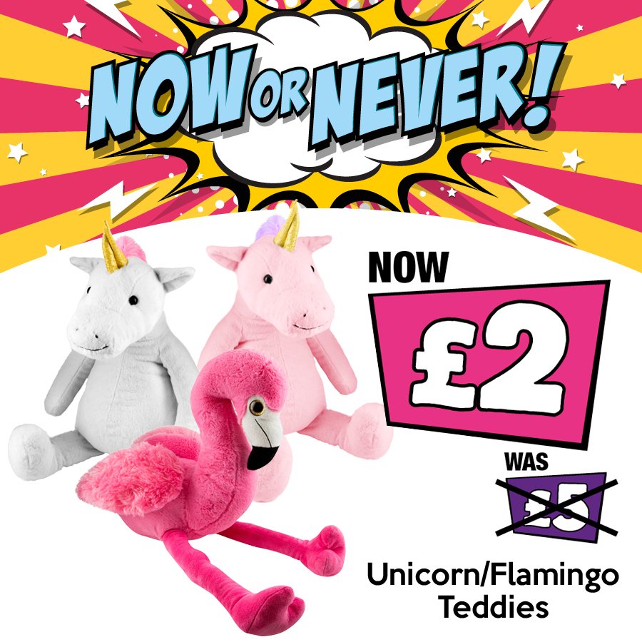 poundland teddy