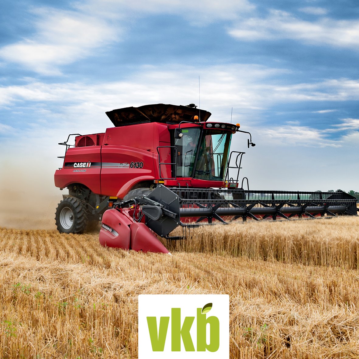 vkblandbou's tweet image. When harvesting is done, your lambs and ewes can feast on the residues of soya and maize. It is important that they get injections to prevent pulpy kidney disease. Pulpy kidney disease is caused by the change in their diets. #LivestockTips #Agriculture #ForTheLoveOfTheLand