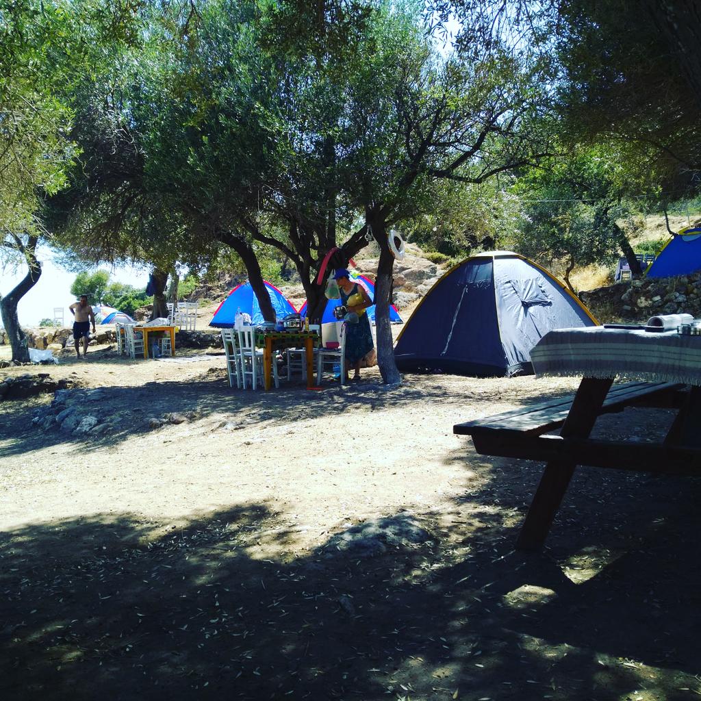 Zeytin ağaçlarının altında...
#bisikletdostuişletme #kamping #çadır #tatil #denizköy #dikili #izmir #bisiklet #eğlence #müzik #deniz #kum #güneş #hamak