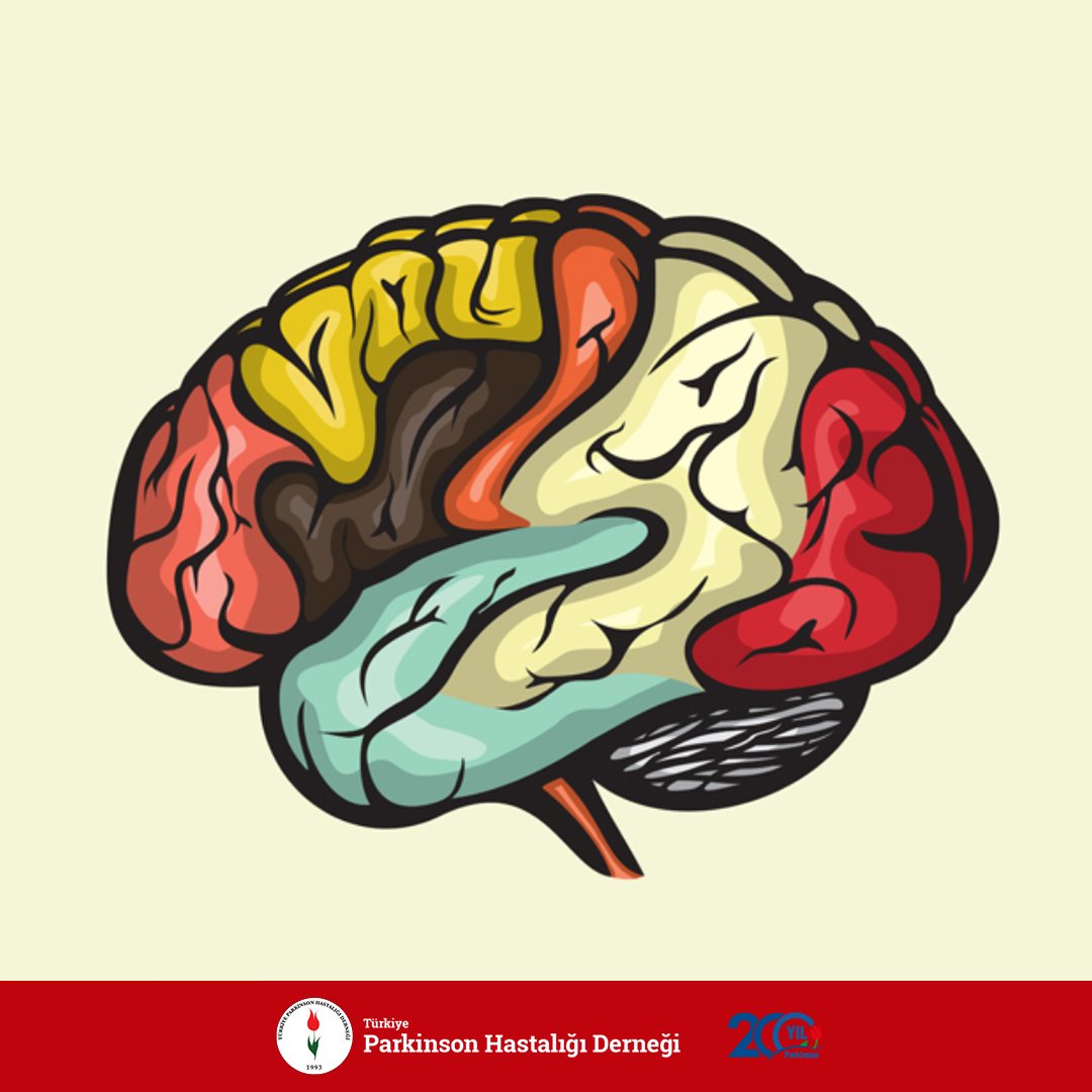 Cerrahi tedavinin bazı durumlarda gerekliliği söz konusudur. Bu durumlar yüksek dozda ilaç alımıyla birlikte hastanın kapalılık ve tepkisizlik halinin olması, açıklık halinin ise yeterince kaliteli geçmemesi; kontrol edilemeyn istemsiz hareketler ve el titremelerinin olmasıdır.