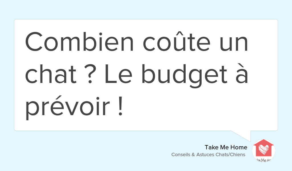 On observe encore trop d'abandons pour des raisons financières 😒 Calculez votre budget et prévoyez pour lui ! 😻 goo.gl/QiYP8W
