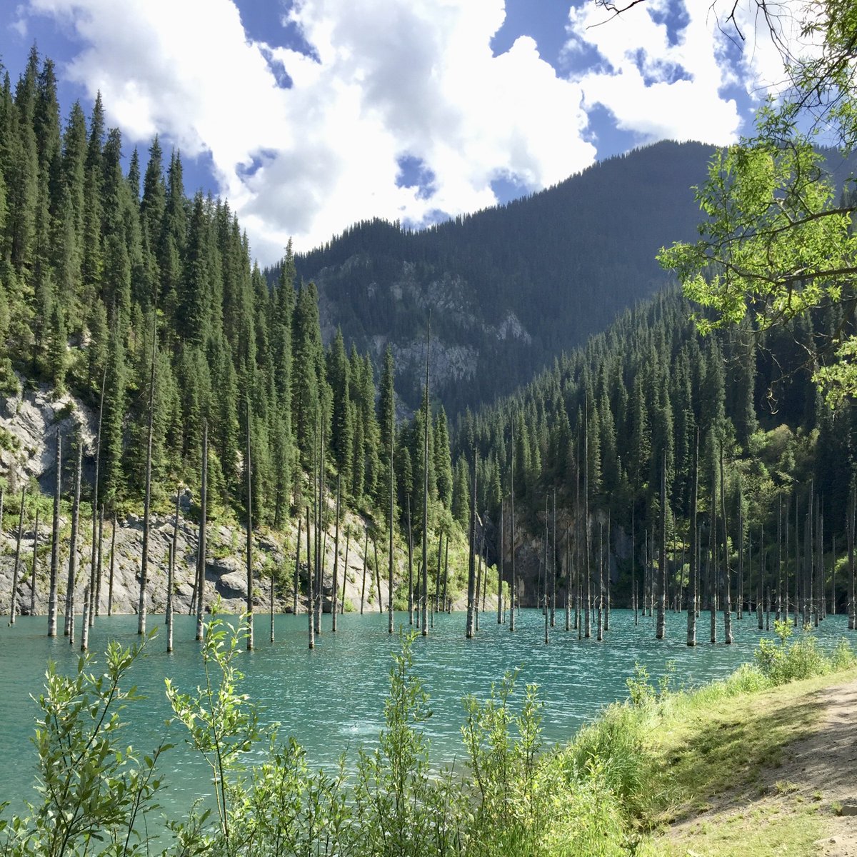 Make your experience in #Almaty as memorable as possible and don’t miss the chance to visit Kaindy Lake, formed from an earthquake in 1911, trees now raise straight from the water.