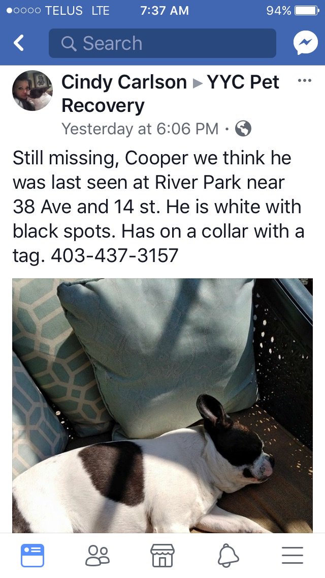 doglover100's tweet photo. @RiverParkDogs https://t.co/VvykSs7X8J https://t.co/2dhbbuBar1