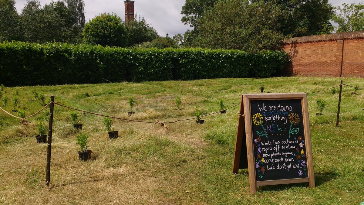 🌻🌻🌻🌼In the family's area we're transforming this section into something new... we hope you don't get lost... 🌼🌻🌻🌻 Come along in a few weeks to see what's here! 🌻