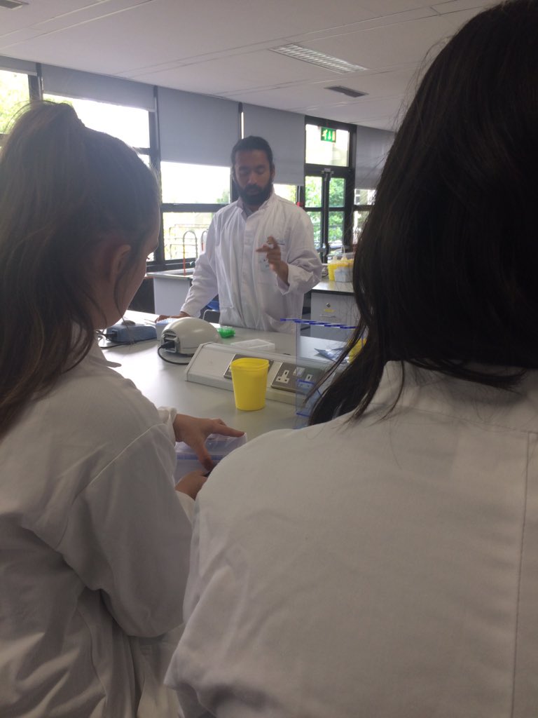 Cellexplorers's tweet photo. We also have @benn94 @OlayiwolaLola and jose working with us at the summer school #scientistrolemodels #believeinscience #nuigalway @STEMnuigalway #biochemistry https://t.co/9qBtxvWfMn