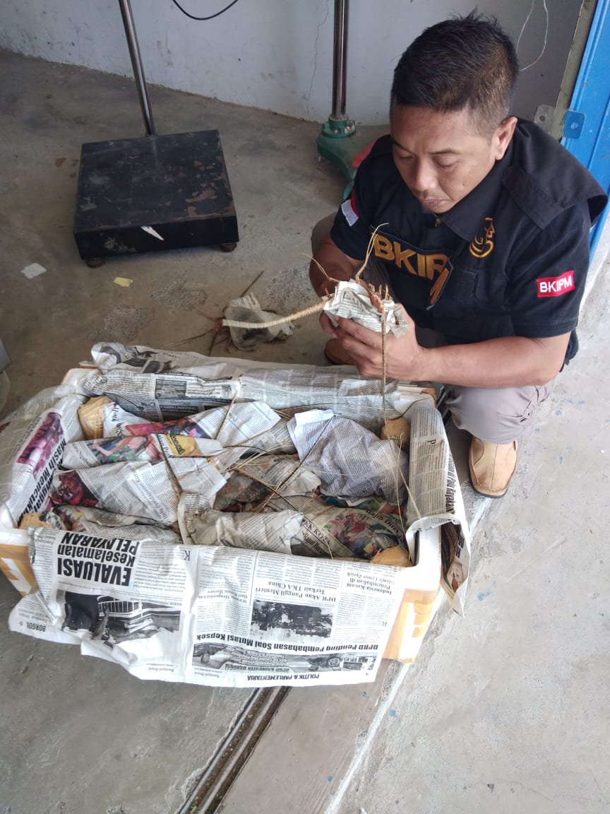 Skiluwukbanggai's tweet photo. 20/06 #OneHealthKIPM Pemeriksaan jenis dan jumlah media pembawa lobster hidup 2 koli
Pengirim hj dede waryati
Tujuan Jakarta 
Via Sriwijaya Air
@HumasBKIPM
@darwis_skipmlb
@rinajanwar2201 https://t.co/gHaqMMPw6C