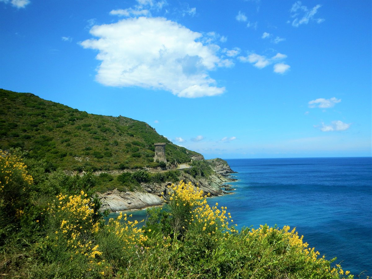 La route panoramique du Cap Corse 😍 #Corse #Capcorse
