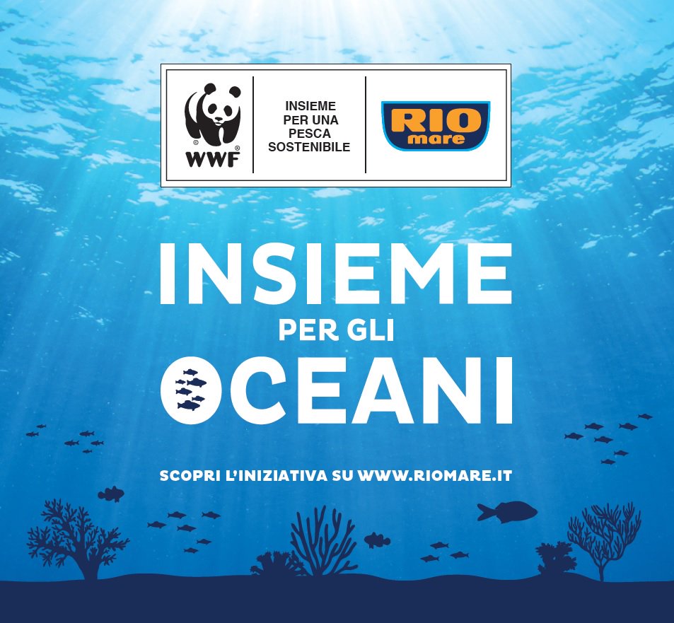 ilcarriero's tweet photo. «Oceani sono uno scrigno di biodiversità e forniscono proteine a circa 2 miliardi di persone. Abbastanza quindi per garantirci il presente e giocare un ruolo fondamentale per il futuro» Sandro Carniel, Oceanografo 

#Ad #InsiemePerGliOceani https://t.co/N21fstHGTP