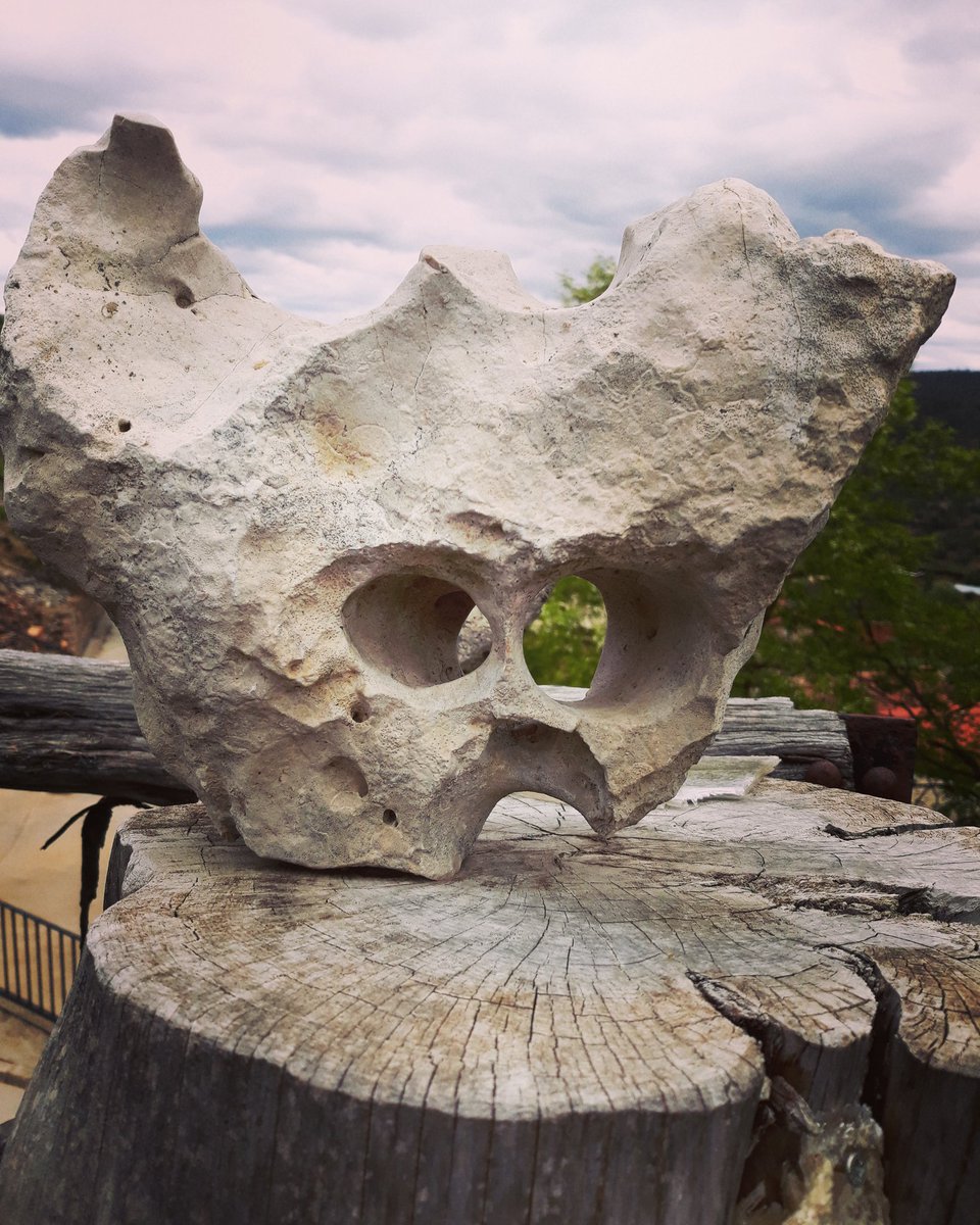 Estamos deseando que llegue el finde, pero mientras...¡vamos a por el miércoles!💪💪
#MesónLasPedrizas #buenachedelasierra #museo #restaurante #art #arte #piedra #naturaleza_spain #naturephotography #FelizMiercoles #cuencaespaña #CuencaSpain