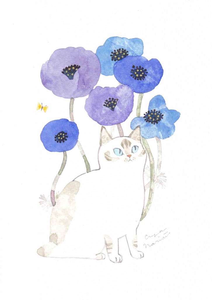 Twitter 上的 Aya Nariai 絵描き Anemone Blue 18 100 148mm 水彩絵具 イラスト ねこ アネモネ 絵 花好き 青色 はな フラワー Anemone Instaflower ガーデニング 白猫 Watercolor Blue Illustration Art Pic Cute Cats Illustrator