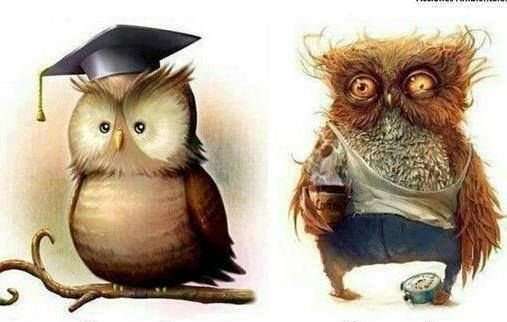 universoviral's tweet photo. Yo,

INICIANDO AŇO ESCOLAR / FINALIZANDO AŇO ESCOLAR https://t.co/cC4Oq2oDZC