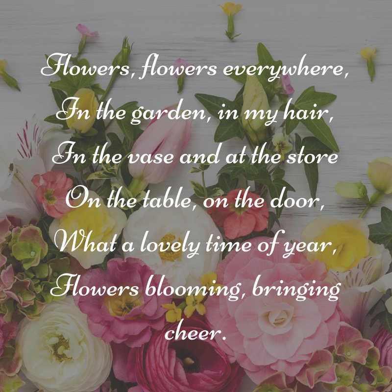 Flowers n Things tweet media