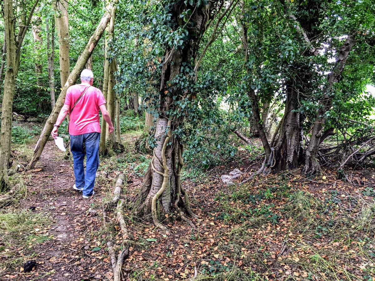 CarolineLawrenc's tweet photo. Is Dr Simon Elliott the Sherlock Holmes of Roman Kent? I think so! 😄
https://t.co/tODo3i2V2I 
#RomansInKent #KentishRagstone #quarries #detective #archaeologist #HectorTheDog #historian #RomanRoads #RomanLondon #SherlockHolmes https://t.co/0UK0R21JE8