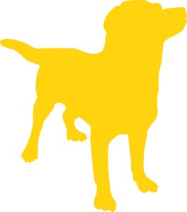 tQeldog's tweet photo. Aunque somos felices por naturaleza desde @tQeldog nos sumamos al #YellowDay https://t.co/7Wubz4IagN