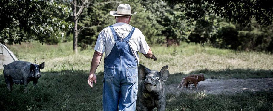 You Can’t See Me! circlebranchpork.com/you-cant-see-m…