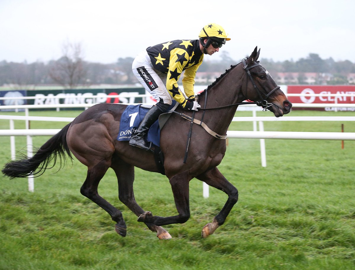 IREthoroughbred's tweet photo. Lot 20, named FUSIONICE, is an own-brother to dual Grade 1 winner Barcardys (pictured) and he is offered by Suggara Farm at @tatts_ireland Derby Sale, June 27th & 28th #IrishStoreSales https://t.co/i3H56w8oAV