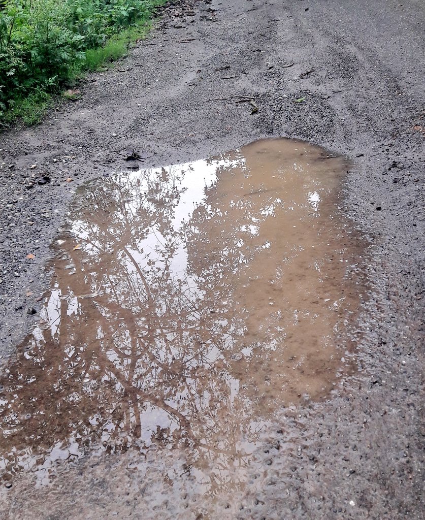 NKTB's tweet photo. What is the illusion and what the reality..? #reflections #mudpools #walking https://t.co/tFZ2b73RG5