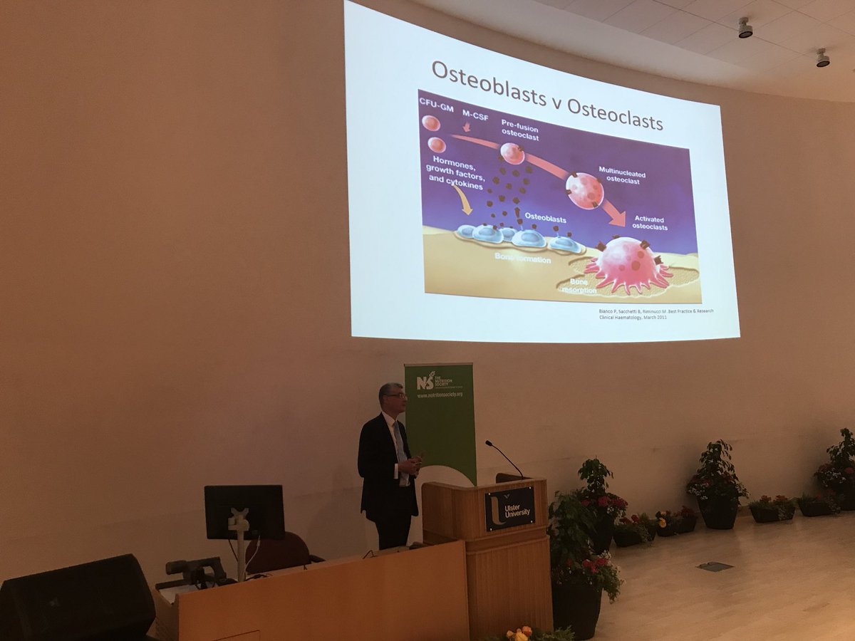 Importance of #protein and #calcium for #bonehealth by <a href="/osteoporosisNI/">Dr David J Armstrong</a> ...are proteins signalling molecules... #research needed especially in #olderadults <a href="/orlagh_feehan/">orlagh feehan</a> @OsteoporosisSoc <a href="/hrbireland/">HealthResearchBoard</a>  #nsirish18 #inspiring <a href="/NutritionSoc/">Nutrition Society</a> <a href="/NICHE_ULSTER/">NICHE</a>