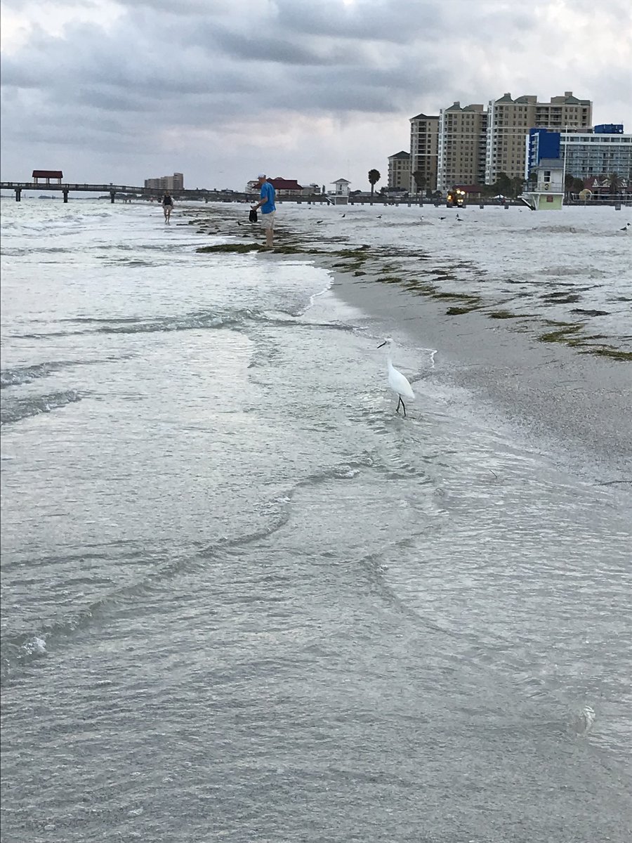 Good morning from beautiful Clearwater! #GeosolWTC2018