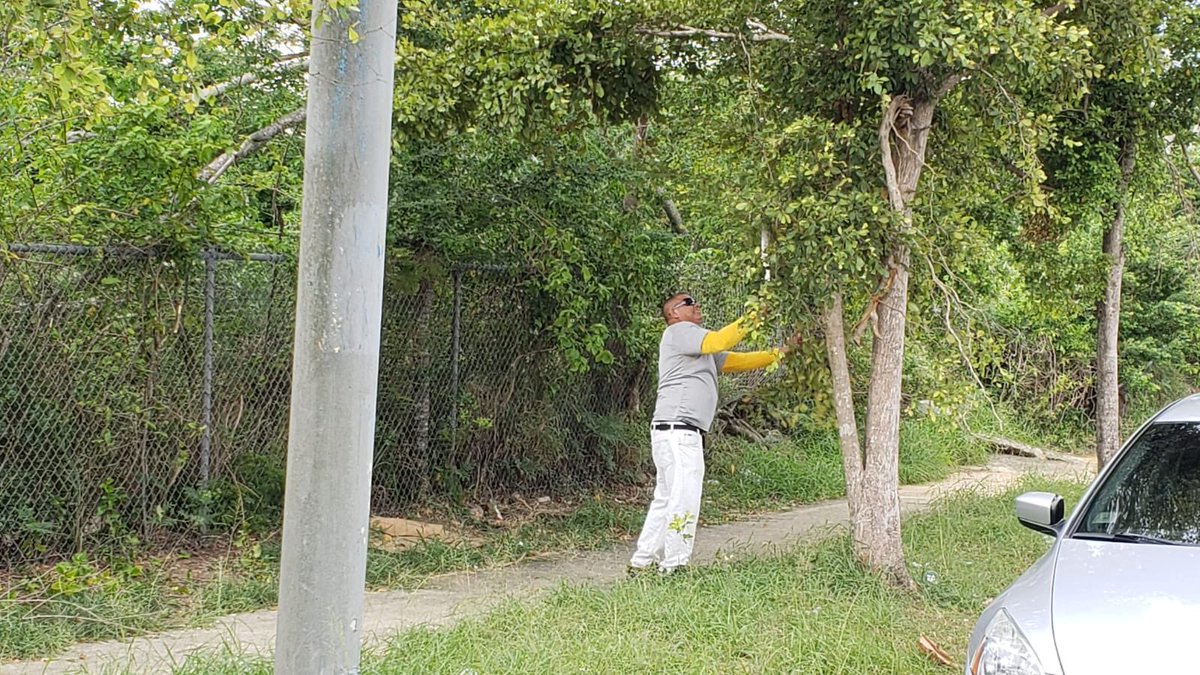 AreciboCrece's tweet photo. Nuestras brigadas municipales continúan la limpieza de áreas verdes, esta vez en la PR 129 frente al CESCO. #AreciboResplandece https://t.co/unxdff1Nxa