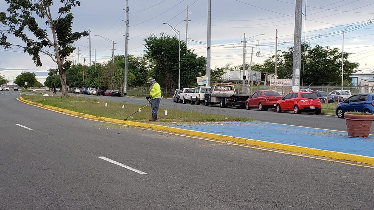AreciboCrece's tweet photo. Nuestras brigadas municipales continúan la limpieza de áreas verdes, esta vez en la PR 129 frente al CESCO. #AreciboResplandece https://t.co/unxdff1Nxa