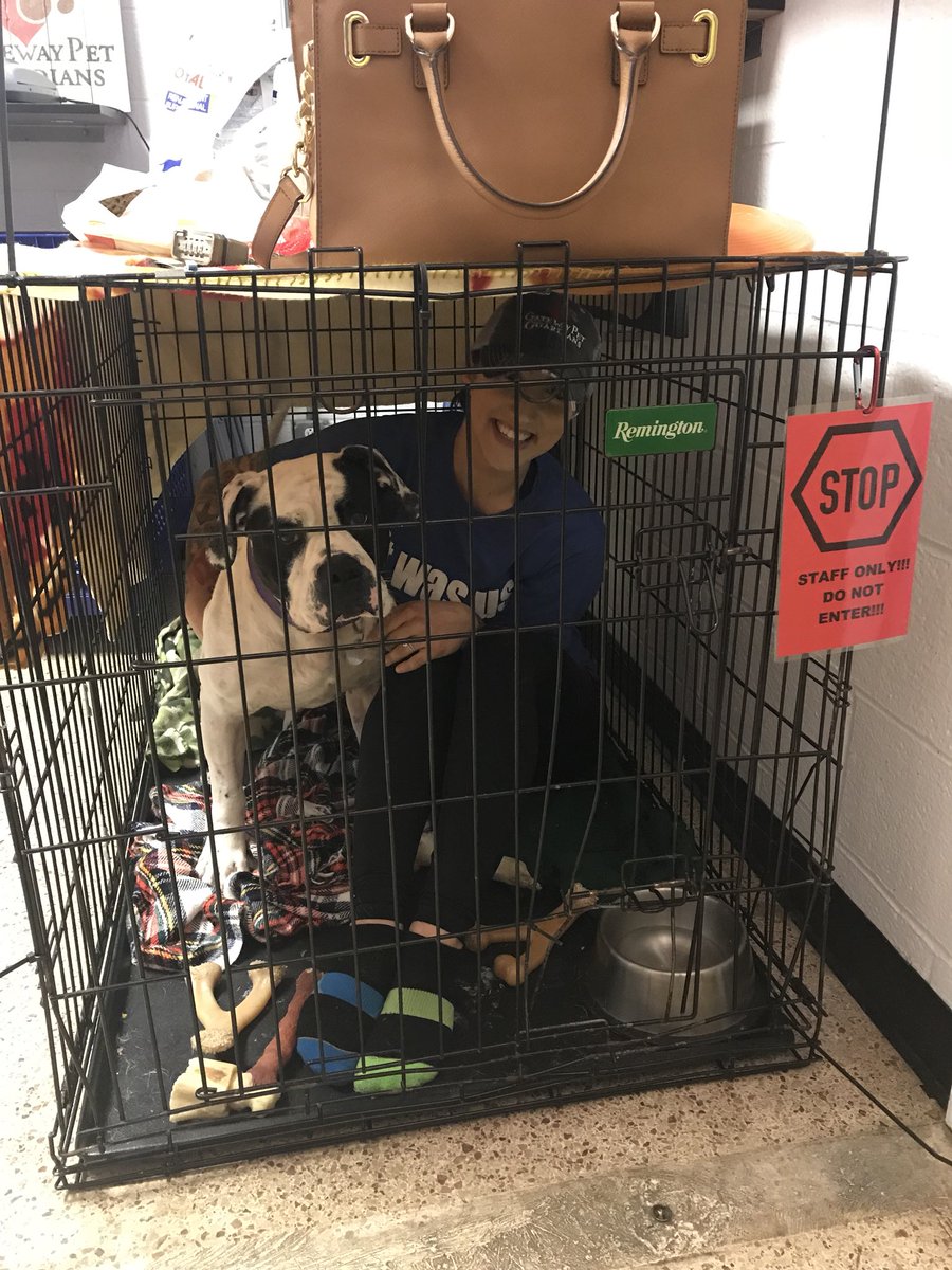 gatewaypets1's tweet image. In 2 DAYS, 13 of our most dedicated volunteers will be shacking up with the shelter dogs for 24 HOURS! That’s right, we’re eating, sleeping, and hanging out in kennels. Find out why &amp;amp; how to support us #animalwelfare #gatewaypetguardians #beyondrescue gatewaypets.com/slumberpawty/