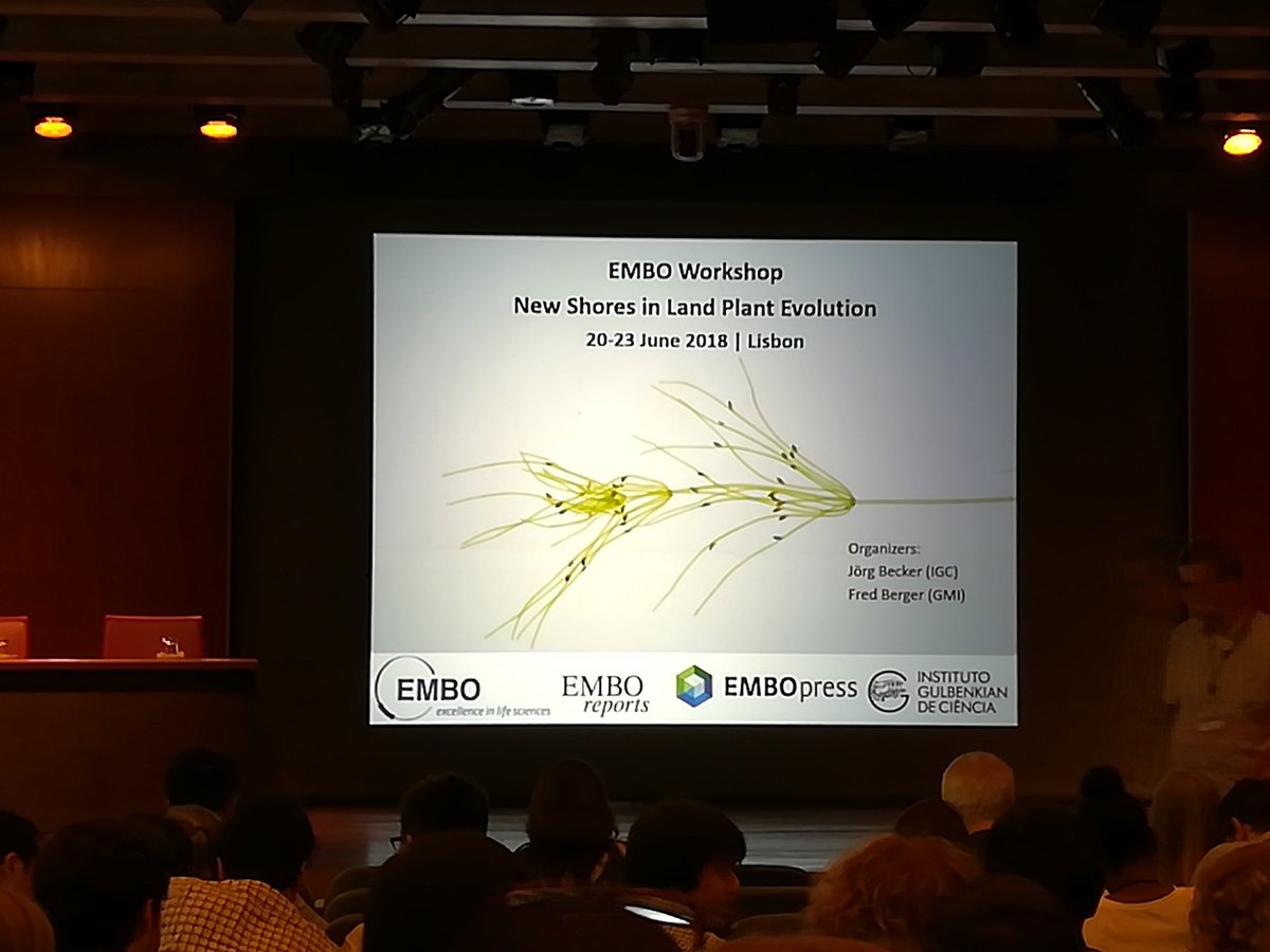 Excited to start #EMBOplantevo !!
