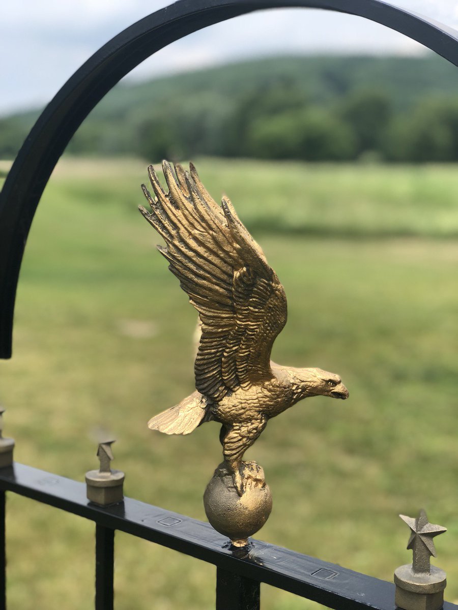 PullTheShade3's tweet photo. @Fancy_Tale #Freebird #Freedfrom50Shades
#ReputationofaNation
#NationinRestoration
#GoldenEagle #Ireland https://t.co/ZFy1aKjWmI