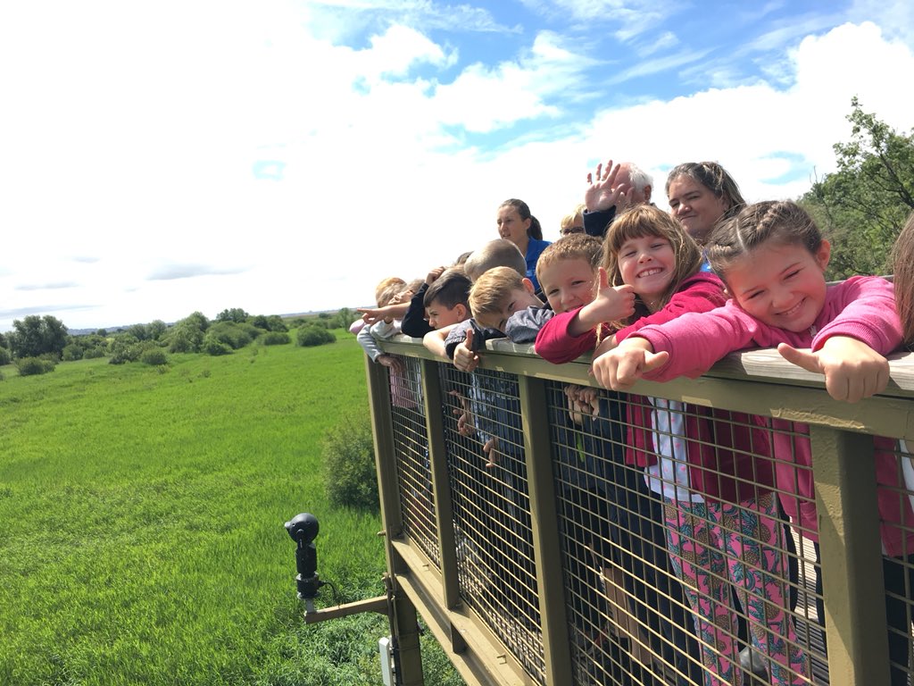FrodshamCE's tweet photo. #Y4 #FCEIngleton #TimeFliesWrenYoureHavingFun 🦅 https://t.co/SGlXySPQB8