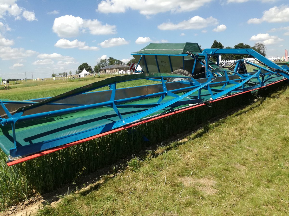 Veaulin Brice 🚜🌾🌻🌽 tweet media