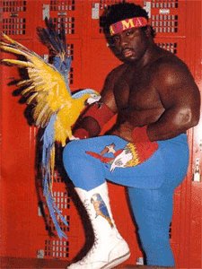 Happy Birthday Koko B. Ware!!!!! *Flaps wings like Frankie* 