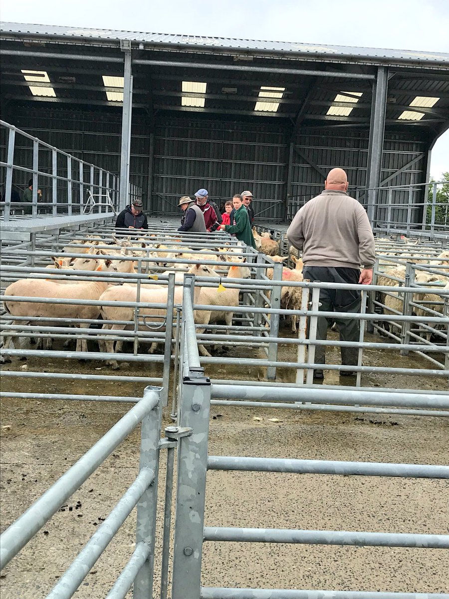 8030/33 - Attended Crymych 🐑 Market this morning. An opportunity for the farming community to meet Ceredigion Rural Crime Officers. #RuralCommunityEngagement 👮‍♀️👮🏻‍♀️
