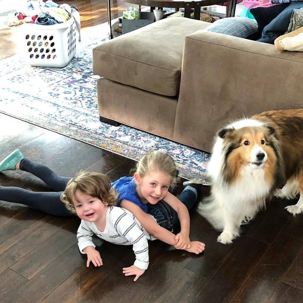 dailysoulsesh's tweet image. And then there’s a time to just tackle the people you love…go on, smother ‘em with kisses 💋Side note: have you seen Chris pratt’s acceptance speech from whatever awards show was just on!? Drop everything and go watch, trust me! #learntopray #youhaveasoul #believeingod (at Re…