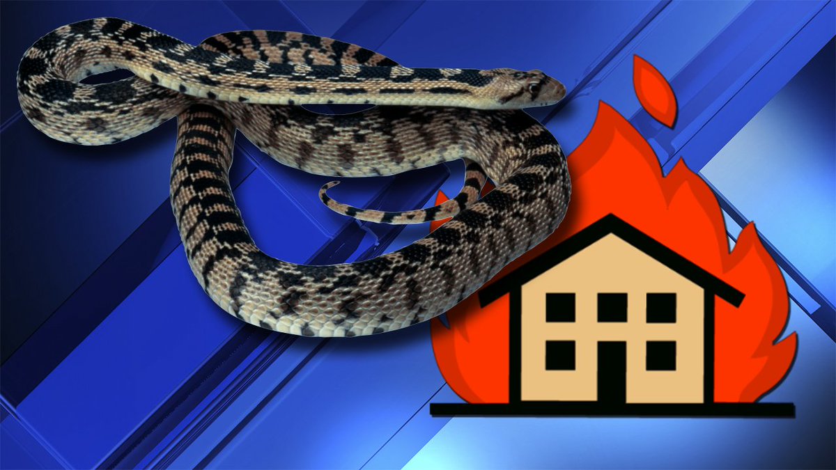 Man trying to kill a snake with gasoline set his house on fire instead. bit.ly/2tqsxU4?utm_so… https://t.co/5wr8i2aAHx