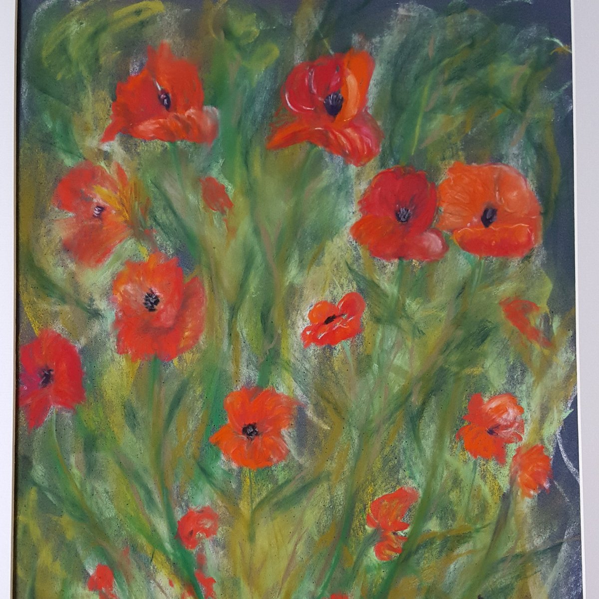 jomoss3024's tweet photo. #poppies in #pastels #pastelart #flowers looking forward to the #pastelworkshop at the #SAA next month to improve my skills https://t.co/d46fm9Jp4R