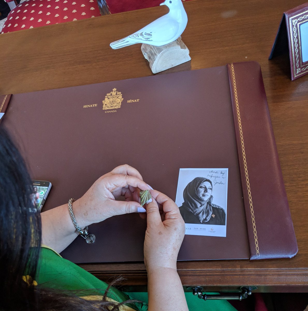 SenatorSalma's tweet photo. Proud to wear my #PinProject pin today in honour of #WorldRefugeeDay. This pin, which is made by refugees, emodies the dreams and ambitions of all people who seek a better life for themselves and their families. https://t.co/pwVvBqidtl